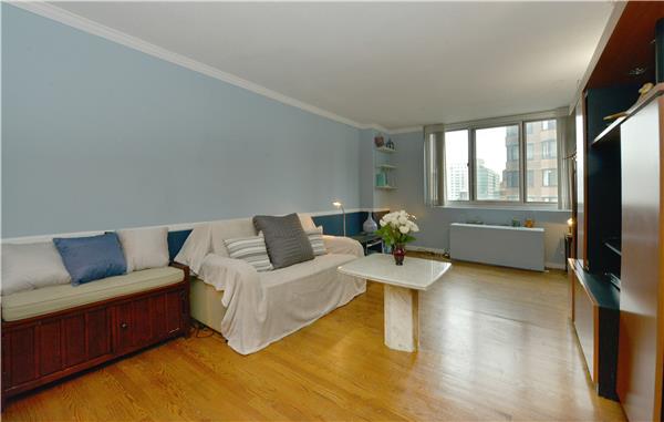 345 E 93rd Street #10-J