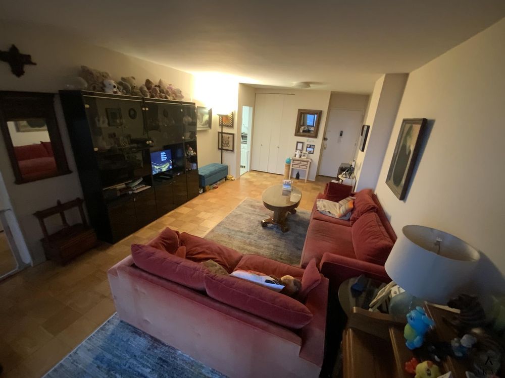269-10 Grand Central Parkway #8X, Glen Oaks property photo 4