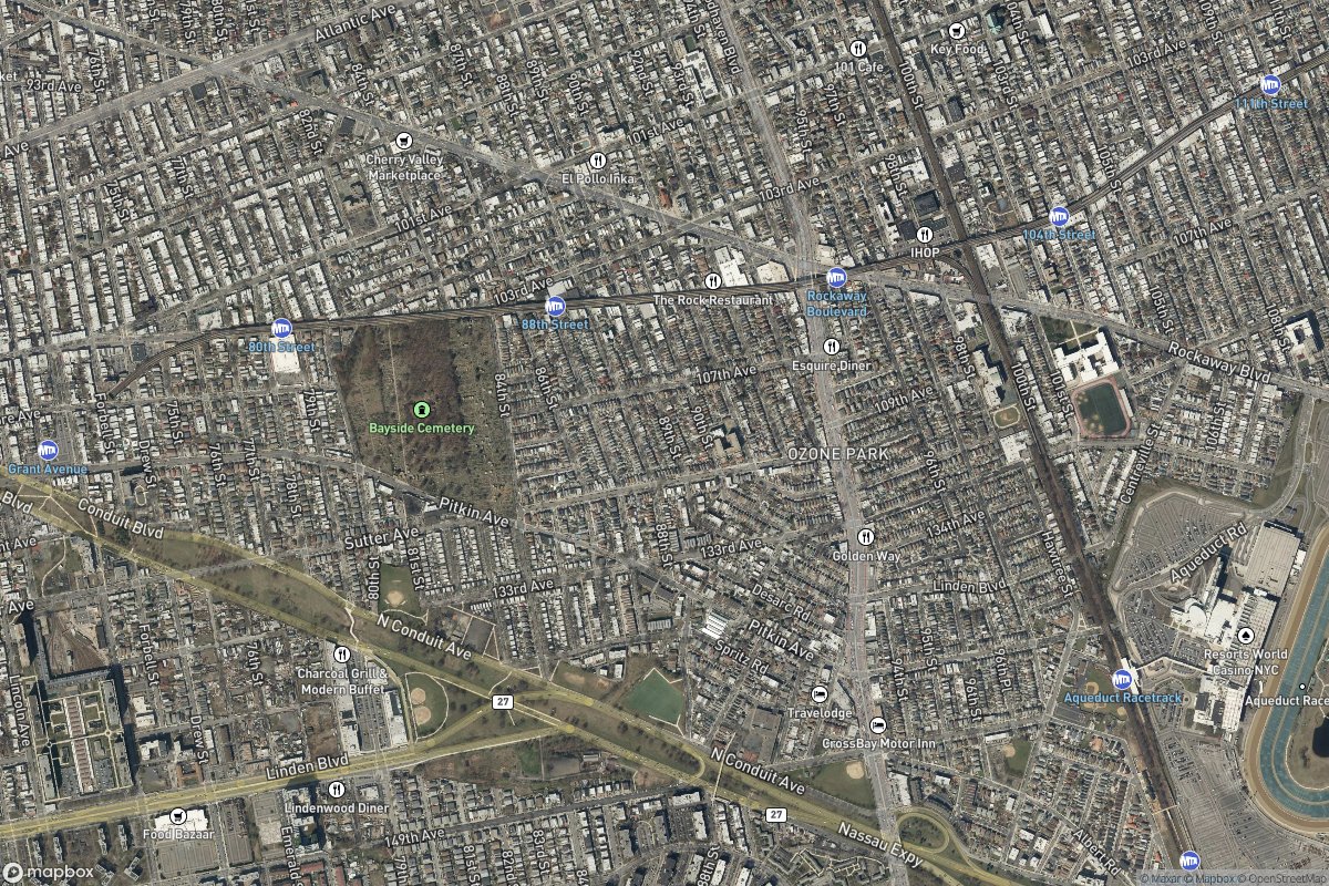 Ozone Park real estate