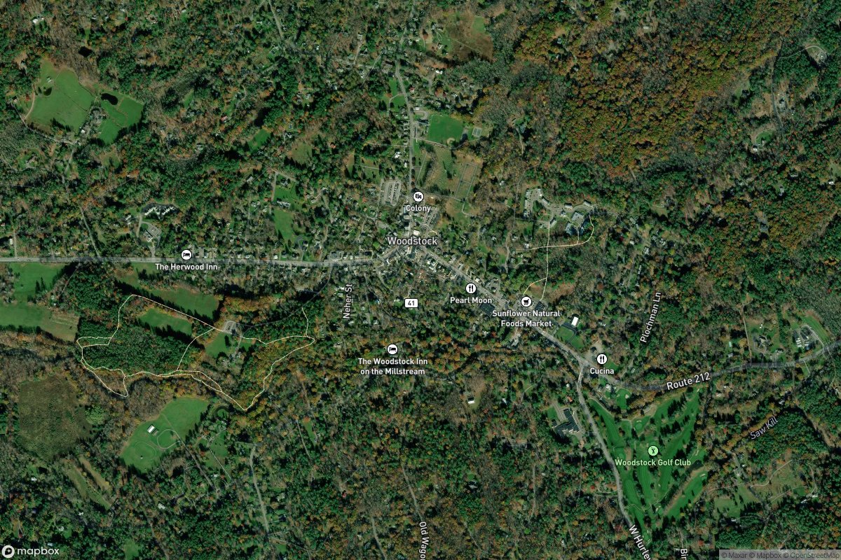 Woodstock real estate